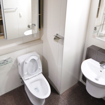 Toilet replace in London
